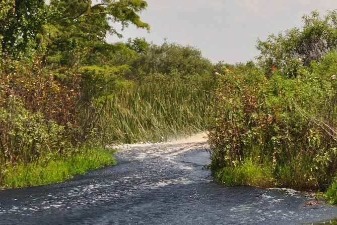 90 minute Everglades Airboat Tour near Orlando Florida - How the 90 Minutes Actually Play Out on the Water