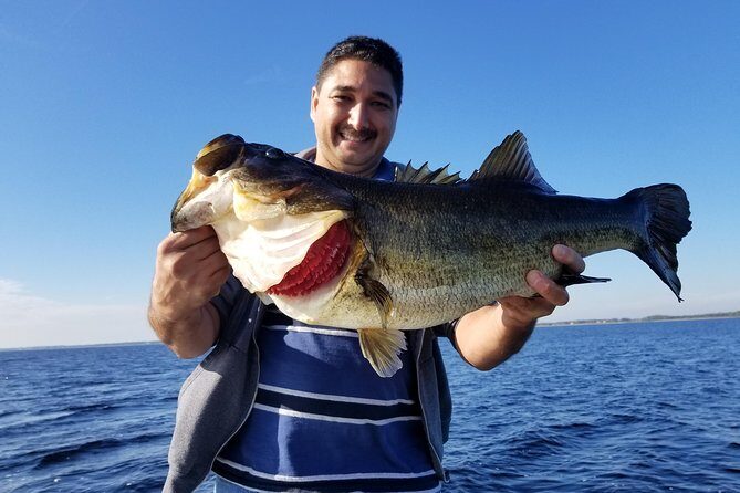 All Day Lake Toho Fishing Trip near Kissimmee - What Happens During the Fishing Hours on Lake Tohopekaliga