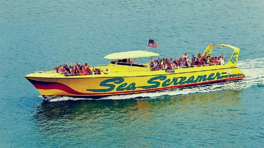 Clearwater Beach and Dolphin Cruise Day Trip from Orlando - Clearwater Beach arrival: what you’ll actually do with five hours