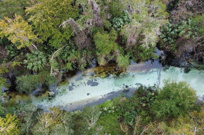 Florida paddle excursions - Wildlife spotting in safe moments (including alligators)