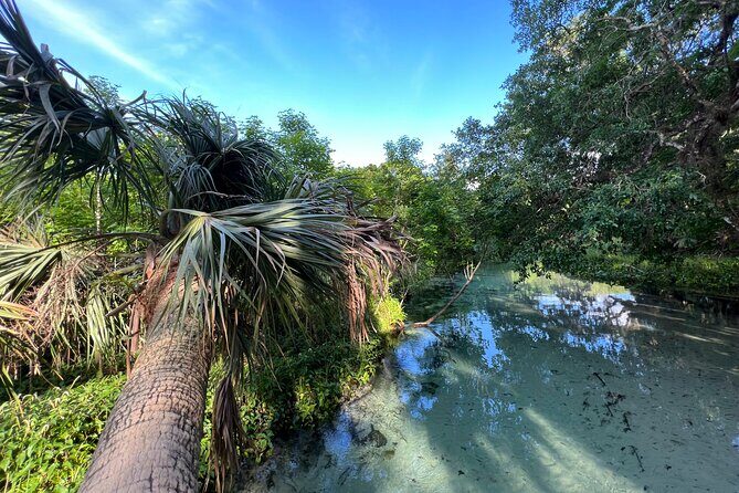 Florida paddle excursions - Meeting point and gear: what to expect when you arrive