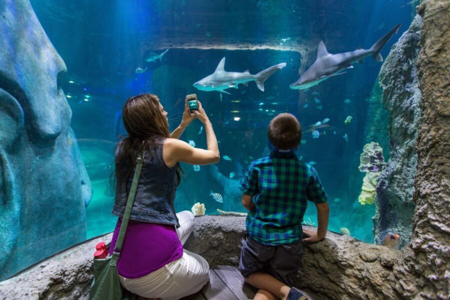 Orlando: All-Inclusive Pass with Kennedy Space Center - Getting to and around Orlando: transportation and parking realities