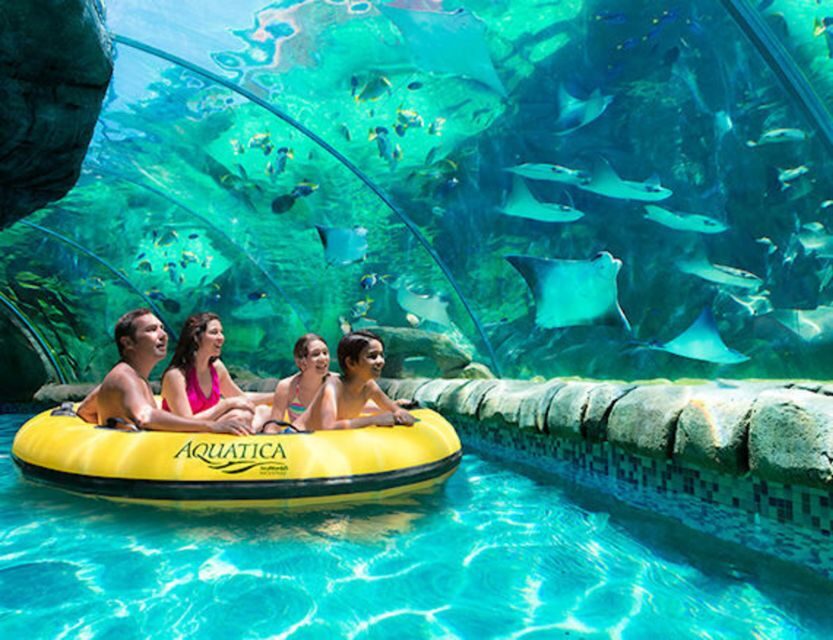Orlando: Aquatica Water Park Admission Ticket - Reef Plunge and the big slides: where the wow factor lives