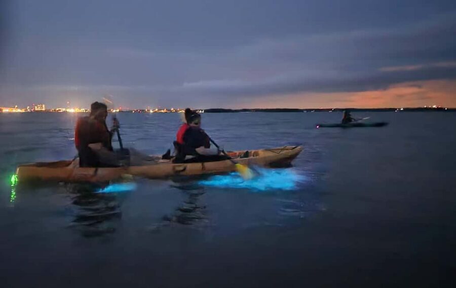 Orlando: Bioluminescence Kayak Adventure - A Night Paddle That Turns the Lagoon Into a Light Show