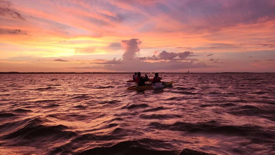 Orlando: Bioluminescence Kayak Adventure - Shipyard Island: Where the Trip Gets Its 80 Minutes of Magic