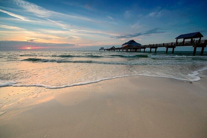 Orlando: Clearwater Beach, Dolphin Cruise Small Group Max 14 Tour - Small-group comfort with a max of 14