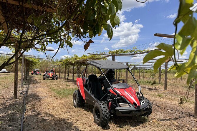 Orlando Dune Buggy Tour - Why This Tour Works: Off-Road Fun Outside Orlando’s Usual Routes