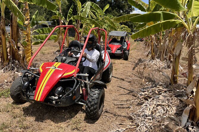 Orlando Dune Buggy Tour - The Ride Setup: Who Can Drive and How the Buggy Experience Is Structured