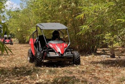 Orlando: Dune Buggy Tour - The 1115 Minnesota Ave Start: Your Real Schedule (and Why Timing Varies)