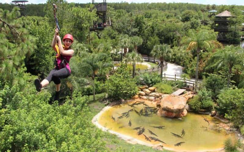 Orlando: Gatorland Zipline Adventure w/ Full-Day Park Access - The Swinging Bridge Moment: Where Nerves Meet Skill