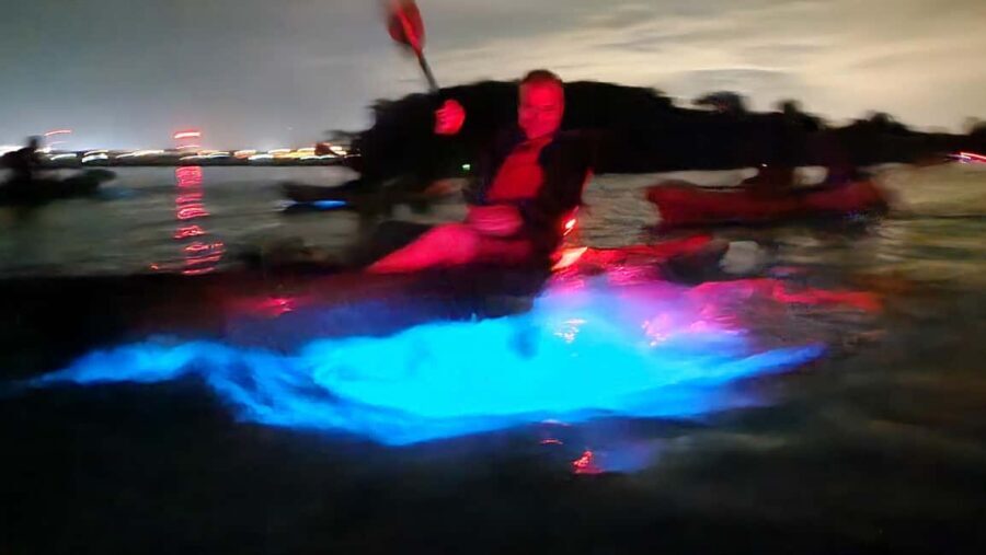 Orlando: Magic After Dark Bioluminescence Kayak Tour - Who This Tour Suits Best