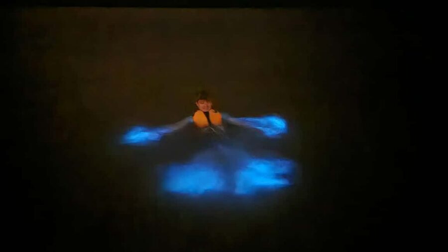 Orlando: Magic After Dark Bioluminescence Kayak Tour - Getting There: Finding the Kayak Beach Meeting Spot Near Cape Canaveral