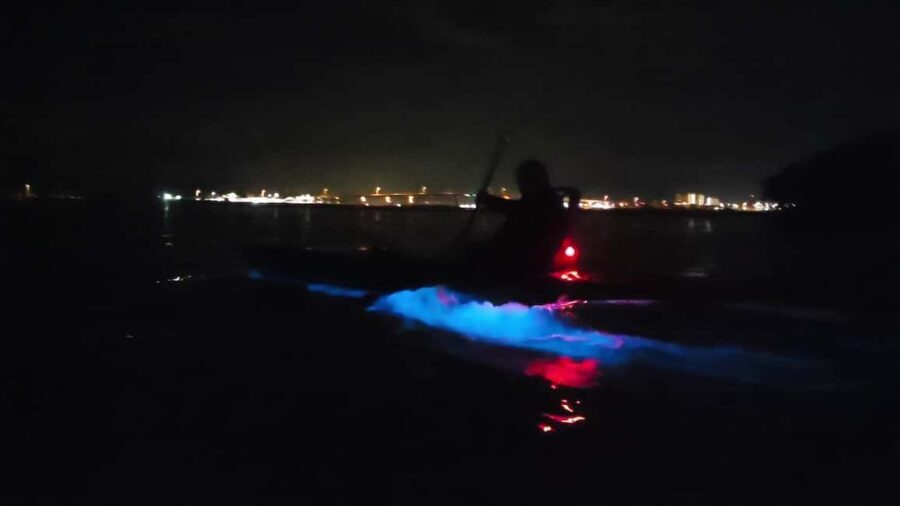 Orlando: Magic After Dark Bioluminescence Kayak Tour - What to Bring (and What to Skip) for a Comfortable Night Paddle