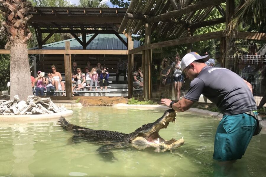 Orlando: Wild Florida Park Ticket and Gator Shows - Tropical Birds and the 500-Foot Dock Stroll