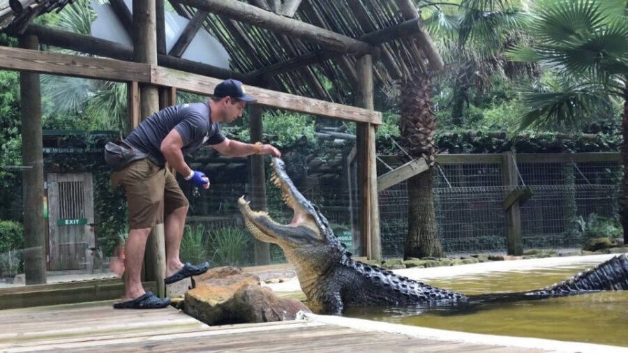 Orlando: Wild Florida Park Ticket and Gator Shows - Finding the Park Near Orlando: Kenansville Meeting Point