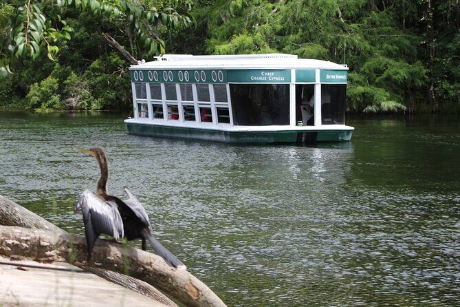 Sassy’s Silver Springs Kayak and Paddleboard Tours - Key Things That Make Sassy’s Silver Springs Tour Worth Your Time