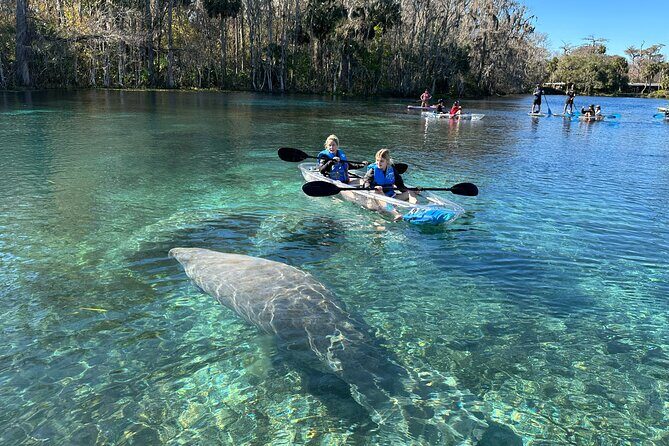 Silver Springs Clear Kayak Manatee, Monkey & Wildlife Adventures - Choosing the right kayak or paddleboard for your group