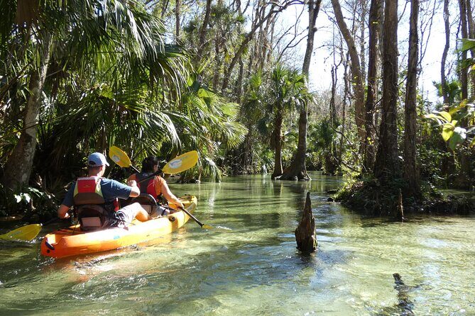 Small Group Rock Springs Run Eco Kayak Adventure - Guides, Safety, and Teaching You to Kayak