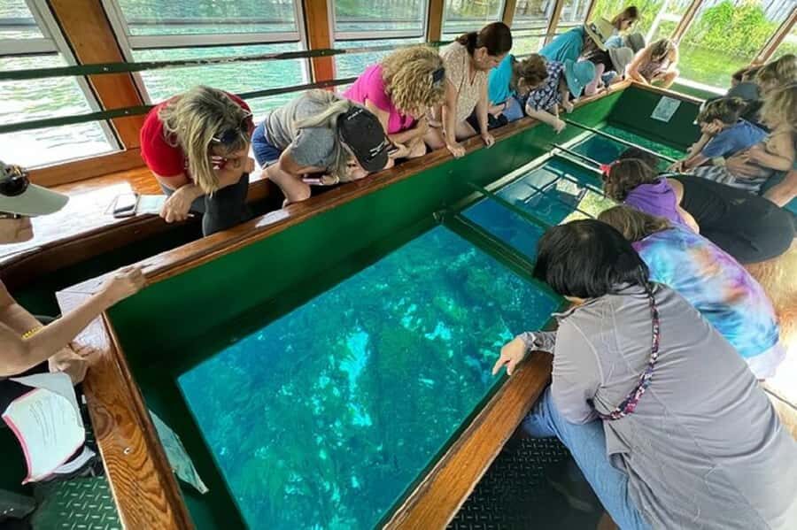 Small Group Silver Springs State Park Day Tour from Orlando - Key points before you go
