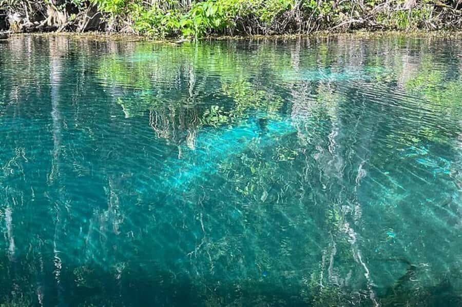 Small Group Silver Springs State Park Day Tour from Orlando - Underwater Artifacts, Movie Props, and the Fun Kind of Learning