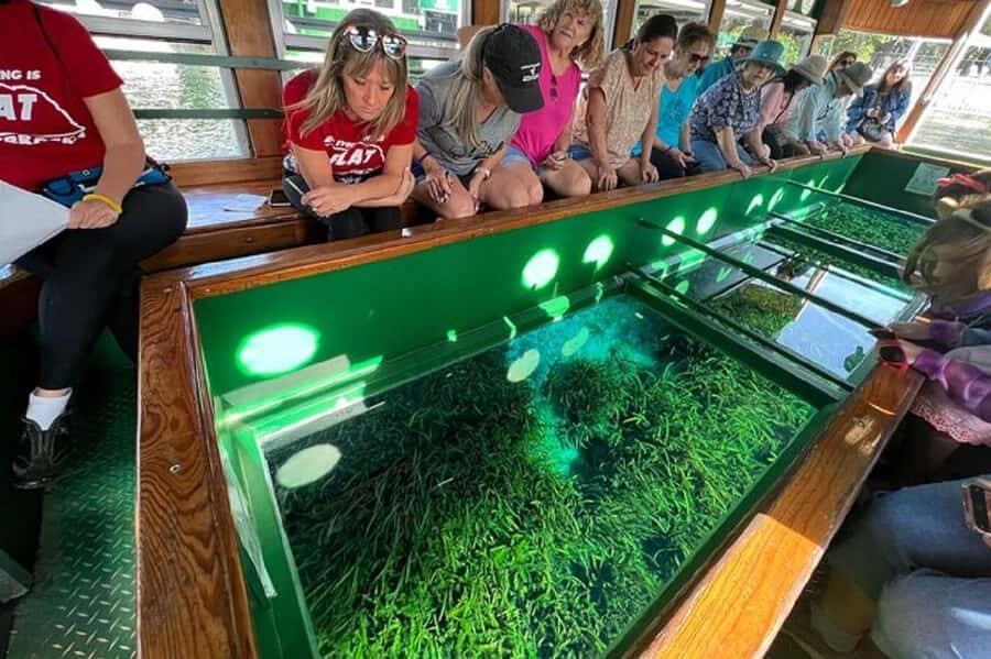 Small Group Silver Springs State Park Day Tour from Orlando - Logistics That Matter More Than You Think