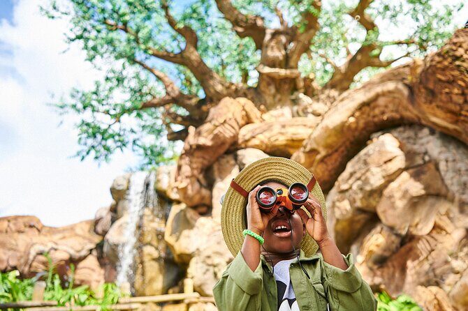 Walt Disney World Orlando Resort Base Ticket - Magic Kingdom: classic land thrills, from TRON to Happily Ever After